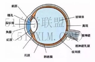 斜视图“斜视图制作技巧,打造精美三维展示效果”