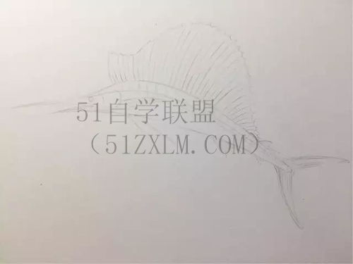 彩铅教程彩铅画入门技巧，初学者必须掌握的方法