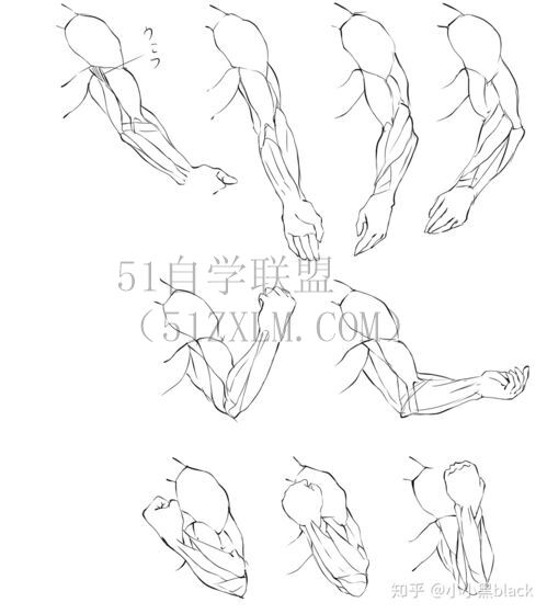 平板怎么画画创造绘画新趣味，平板融入艺术世界