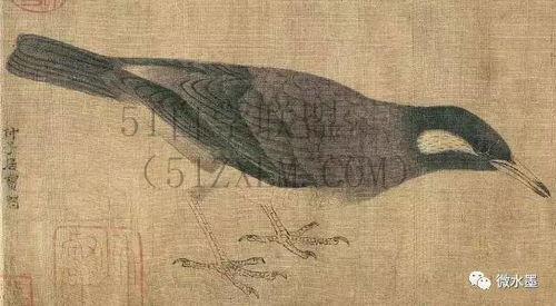 工笔花鸟画技法“精细工笔花鸟画技法”：揭秘高手使用的修饰技巧