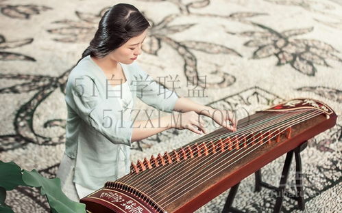 古筝学习弹奏古筝的技巧和方法,揭秘古筝学习的秘密