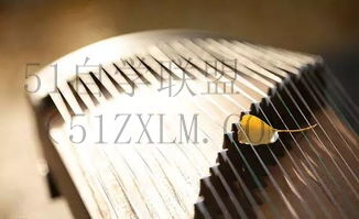 古筝课程精品古筝课程,开启古琴艺术之旅