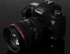 单反教程如何使用单反拍出专业级照片，绝密技巧在此！