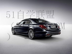 奔驰标豪华款奔驰标, 驾驭上流社会轻松穿越