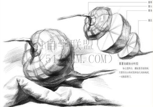 如何画素描基础学习素描基础,掌握画笔技巧:精通素描技法