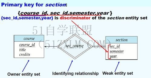 实体图数据建模实用技巧，实体图设计与应用