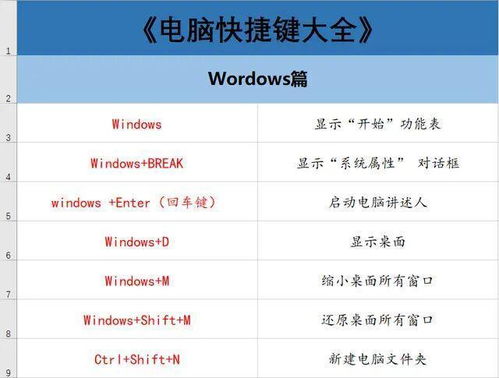 计算机应用基础知识提高效率的计算机应用技巧，简述必备基础知识