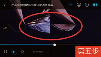 后期处理让你的视频更专业:高级后期处理技巧,提升观众体验