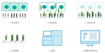 单片机学习高效学习单片机技能，快速实现电子产品创新