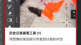 历史记录画笔工具描绘历史的魅力,一支画笔的记录方式