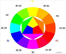 色相环挑选最美色相环，色彩搭配方案大集合