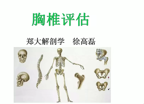 郑大解剖学人体姿势评估与解剖学分析（进阶）徐高磊-51自学联盟