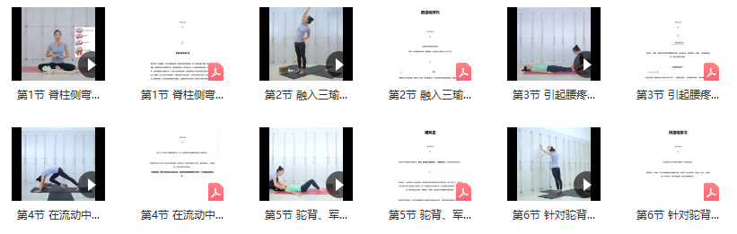 瑜伽理疗矫正之脊柱篇系列课 视频+笔记 赵艳娟-51自学联盟
