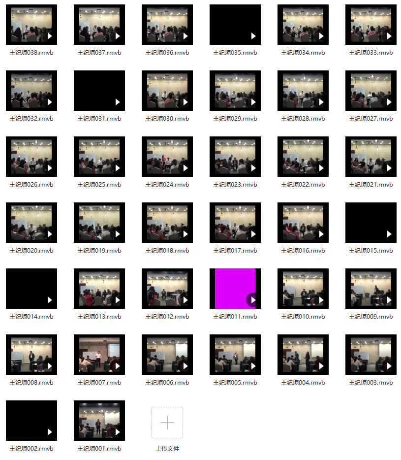 王纪琼-心理咨询技术案例实操训练营（三天线下）视频录像