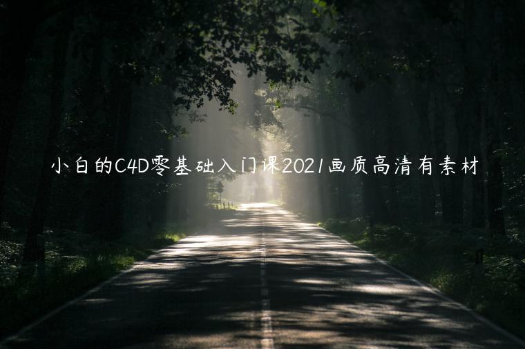 小白的C4D零基础入门课2021-51自学联盟