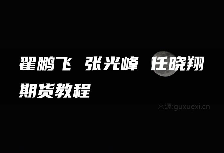 全周期动量波段 翟鹏飞 张光峰 任晓翔期货教程 视频22集