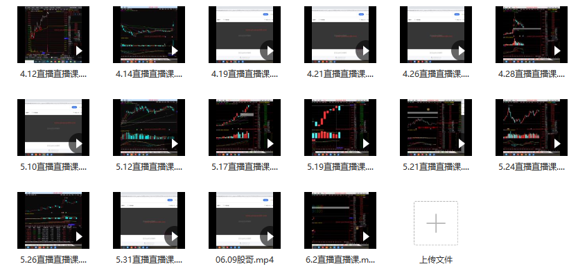 只会炒股13期