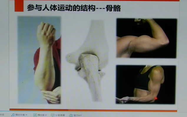 李’哲’讲《脊椎解剖》脊椎骨功能视频13集-51自学联盟