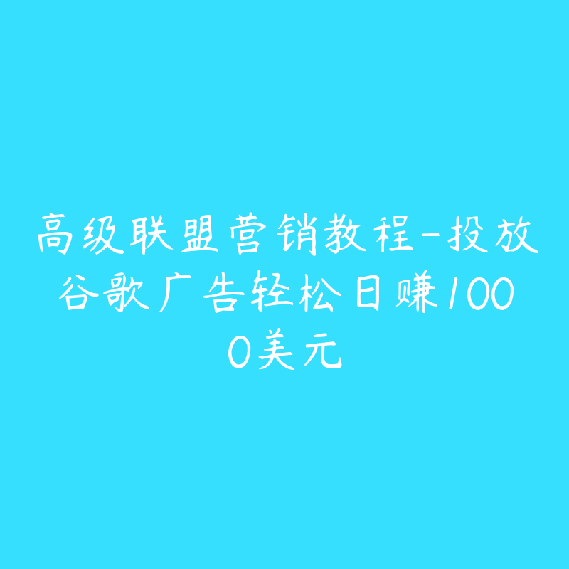 高级联盟营销教程-投放谷歌广告轻松日赚1000美元-资源目录圈子-课程资源-51自学联盟