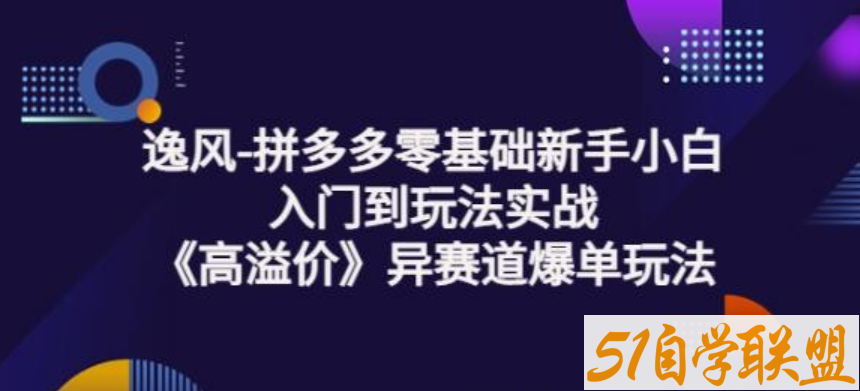 逸风-拼多多零基础新手小白入门到玩法实战《高溢价》异赛道爆单玩法实操课-51自学联盟