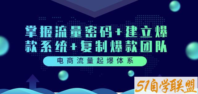 电商流量起爆体系：掌握流量密码+建立爆款系统+复制爆款团队（价值599）-51自学联盟