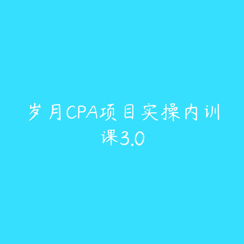 岁月CPA项目实操内训课3.0-资源目录圈子-课程资源-51自学联盟