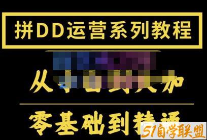 2022全套拼多多核心实操课程，从0-1轻松起链接实战，低投入高产出运作店铺-51自学联盟