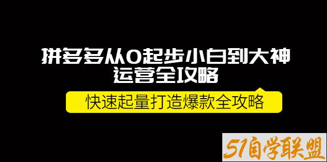 拼多多从0起步小白到大神运营全攻略-资源目录圈子-课程资源-51自学联盟