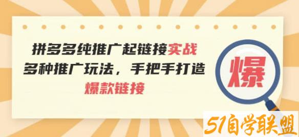 拼多多纯推广起链接实战：多种推广玩法，手把手打造爆款链接-51自学联盟