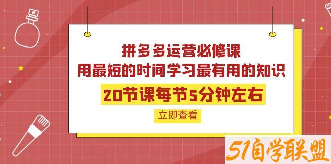 拼多多运营必修课-资源目录圈子-课程资源-51自学联盟