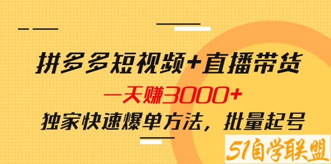 泓盛娜姐·拼多多视频带货项目-资源目录圈子-课程资源-51自学联盟