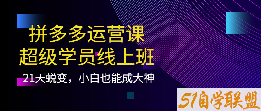 纪主任拼多多运营课程-资源目录圈子-课程资源-51自学联盟