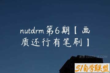 nutdrm第6期【画质还行有笔刷】-51自学联盟
