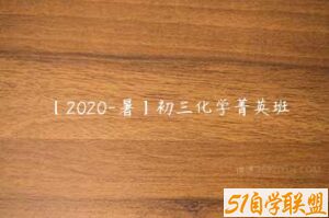 【2020-暑】初三化学菁英班-51自学联盟