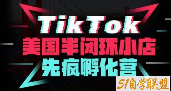 疯人院Tiktok美国半闭环小店孵化营，抢占Tiktok美国蓝海市场，开店、运营、带货、投流全实操