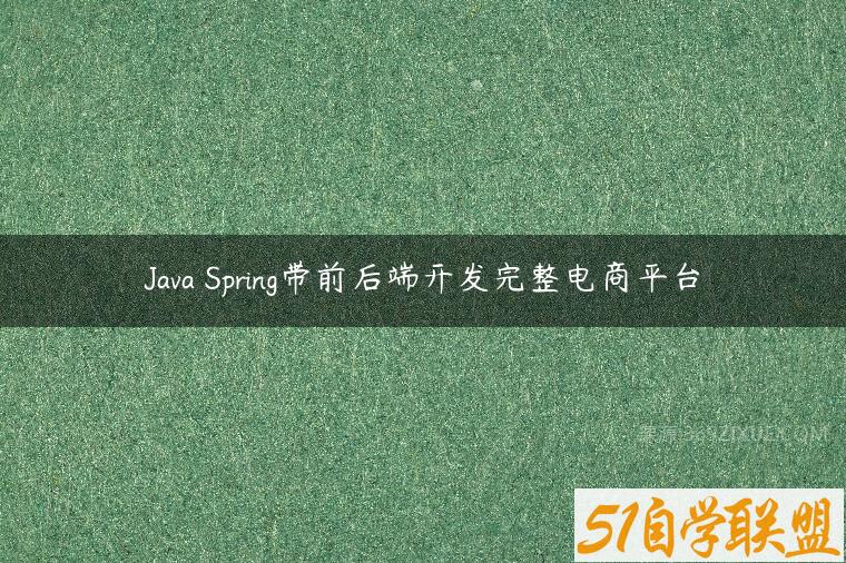 Java Spring带前后端开发完整电商平台课程资源下载