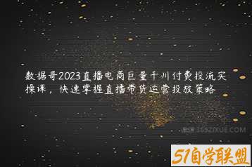 数据哥2023直播电商巨量千川付费投流实操课，快速掌握直播带货运营投放策略-51自学联盟