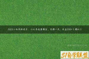 2023小而美的项目，小红书流量掘金，实操一天，收益200+【揭秘】-51自学联盟