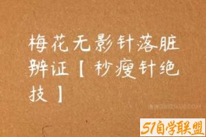 梅花无影针落脏辨证【秒瘦针绝技】-51自学联盟