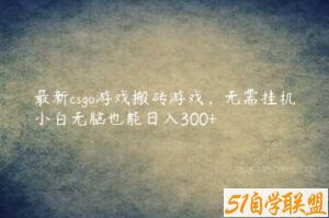 最新csgo游戏搬砖游戏，无需挂机小白无脑也能日入300+-51自学联盟