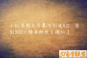 小红书图文号暴力引流4.0，日引300＋精准粉丝【揭秘】-51自学联盟