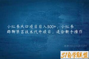 小红书风口项目日入300+，小红书群聊禁言技术代开项目，适合新手操作-51自学联盟