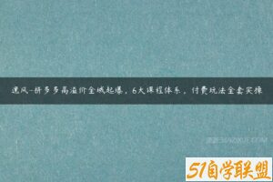 逸风-拼多多高溢价全域起爆，6大课程体系，付费玩法全套实操-51自学联盟