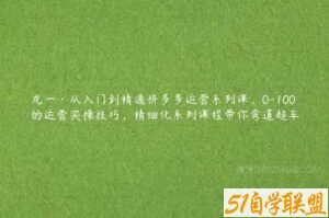 龙一·从入门到精通拼多多运营系列课，0-100的运营实操技巧，精细化系列课程带你弯道超车-51自学联盟