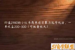 价值2980的小红书商单项目暴力起号玩法，一单收益200-300（可批量放大）-51自学联盟