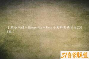 【黑马 Vue3 + ElementPlus + Pinia 小兔鲜电商项目2023版】-51自学联盟