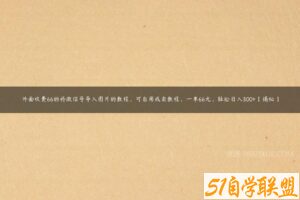 外面收费66的将微信号导入图片的教程，可自用或卖教程，一单66元，轻松日入300+【揭秘】-51自学联盟