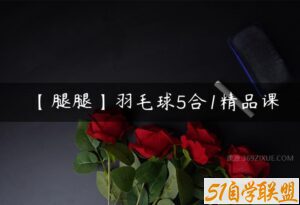 【腿腿】羽毛球5合1精品课-51自学联盟