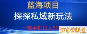 蓝海项目，探探私域新玩法，一部手机日入500+很轻松【揭秘】-51自学联盟