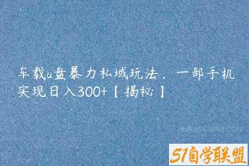 车载u盘暴力私域玩法，一部手机实现日入300+【揭秘】-51自学联盟